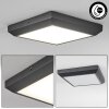 Alkmaar outdoor ceiling light LED anthracite, 1-light source