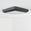 Alkmaar outdoor ceiling light LED anthracite, 1-light source