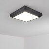 Alkmaar outdoor ceiling light LED anthracite, 1-light source