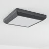 Alkmaar outdoor ceiling light LED anthracite, 1-light source