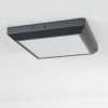 Alkmaar outdoor ceiling light LED anthracite, 1-light source