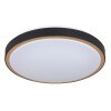 Globo SAMMI Ceiling Light LED brass, black, white, 1-light source
