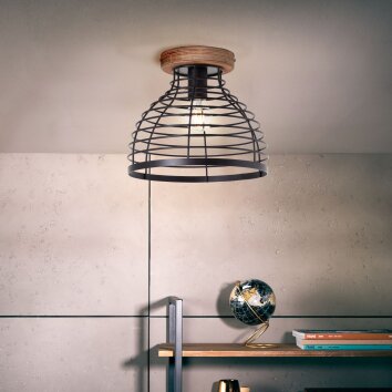 Brilliant Avia Ceiling Light black, 1-light source