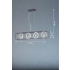 Fischer & Honsel Gisi Pendant Light LED black, 4-light sources, Remote control