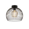 Fischer & Honsel Wire Ceiling Light black, 1-light source