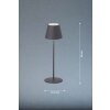 FHL easy Cosenza Table lamp LED grey, 1-light source, Colour changer