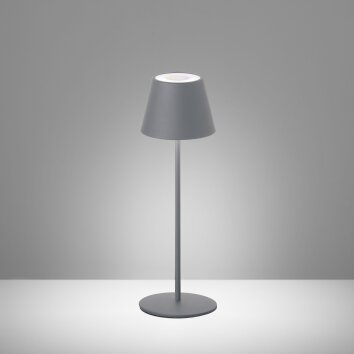 FHL easy Cosenza Table lamp LED grey, 1-light source, Colour changer