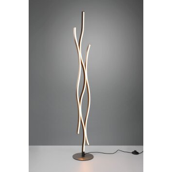 Trio Blaze Floor Lamp LED aluminium, 1-light source