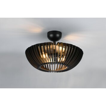 Trio Colino Ceiling Light black, 2-light sources