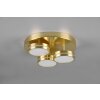 Trio Franklin Ceiling Light LED brass, 3-light sources