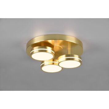 Trio Franklin Ceiling Light LED brass, 3-light sources