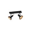 Trio Roxie Ceiling Light black, 2-light sources