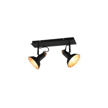 Trio Roxie Ceiling Light black, 2-light sources