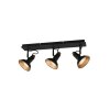 Trio Roxie Ceiling Light black, 3-light sources