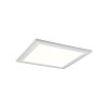 Reality Carus Ceiling Light LED white, 2-light sources