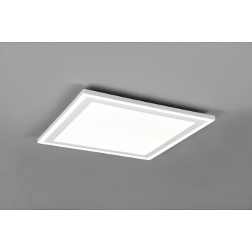 Reality Carus Ceiling Light LED white, 2-light sources