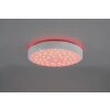 Reality Chizu Ceiling Light LED white, 1-light source, Remote control, Colour changer