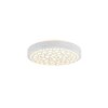 Reality Chizu Ceiling Light LED white, 1-light source, Remote control, Colour changer