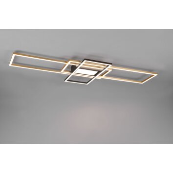 Trio Irvine Ceiling Light LED brass, black, 1-light source, Remote control