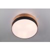 Trio Seasons Ceiling Light matt nickel, 3-light sources