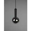 Trio Clayton Pendant Light black, 1-light source