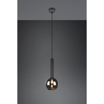 Trio Clayton Pendant Light black, 1-light source