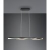 Trio Blaze Pendant Light LED brass, 1-light source