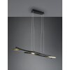 Trio Blaze Pendant Light LED brass, 1-light source