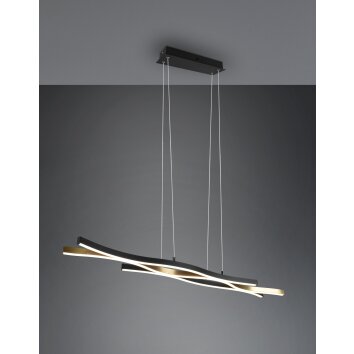 Trio Blaze Pendant Light LED brass, 1-light source