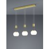Trio Madison Pendant Light LED brass, 3-light sources