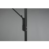 Trio Brantford UpLighter LED black, 1-light source