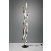 Trio Blaze Floor Lamp LED brass, 1-light source