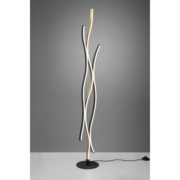 Trio Blaze Floor Lamp LED brass, 1-light source