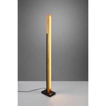 Trio Kerala Floor Lamp LED black, 1-light source