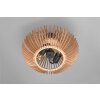 Trio Colino Ceiling Light anthracite, 2-light sources