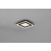 Reality Carus Ceiling Light LED black, 1-light source