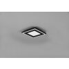 Reality Carus Ceiling Light LED black, 1-light source