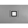 Reality Carus Ceiling Light LED black, 1-light source