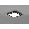 Reality Carus Ceiling Light LED black, 1-light source