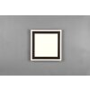Reality Carus Ceiling Light LED black, 1-light source