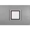 Reality Carus Ceiling Light LED black, 1-light source