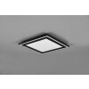 Reality Carus Ceiling Light LED black, 1-light source