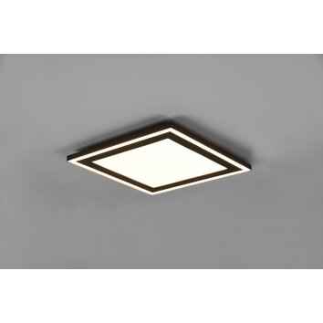 Reality Carus Ceiling Light LED black, 1-light source