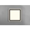 Reality Carus Ceiling Light LED black, 1-light source