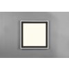 Reality Carus Ceiling Light LED black, 1-light source