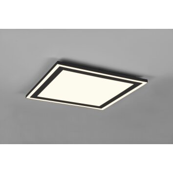 Reality Carus Ceiling Light LED black, 1-light source
