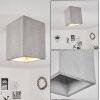 Stettler Ceiling Light grey, 1-light source