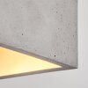 Stettler Ceiling Light grey, 1-light source