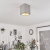 Stettler Ceiling Light grey, 1-light source