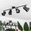 Isanay Ceiling Light black, 4-light sources